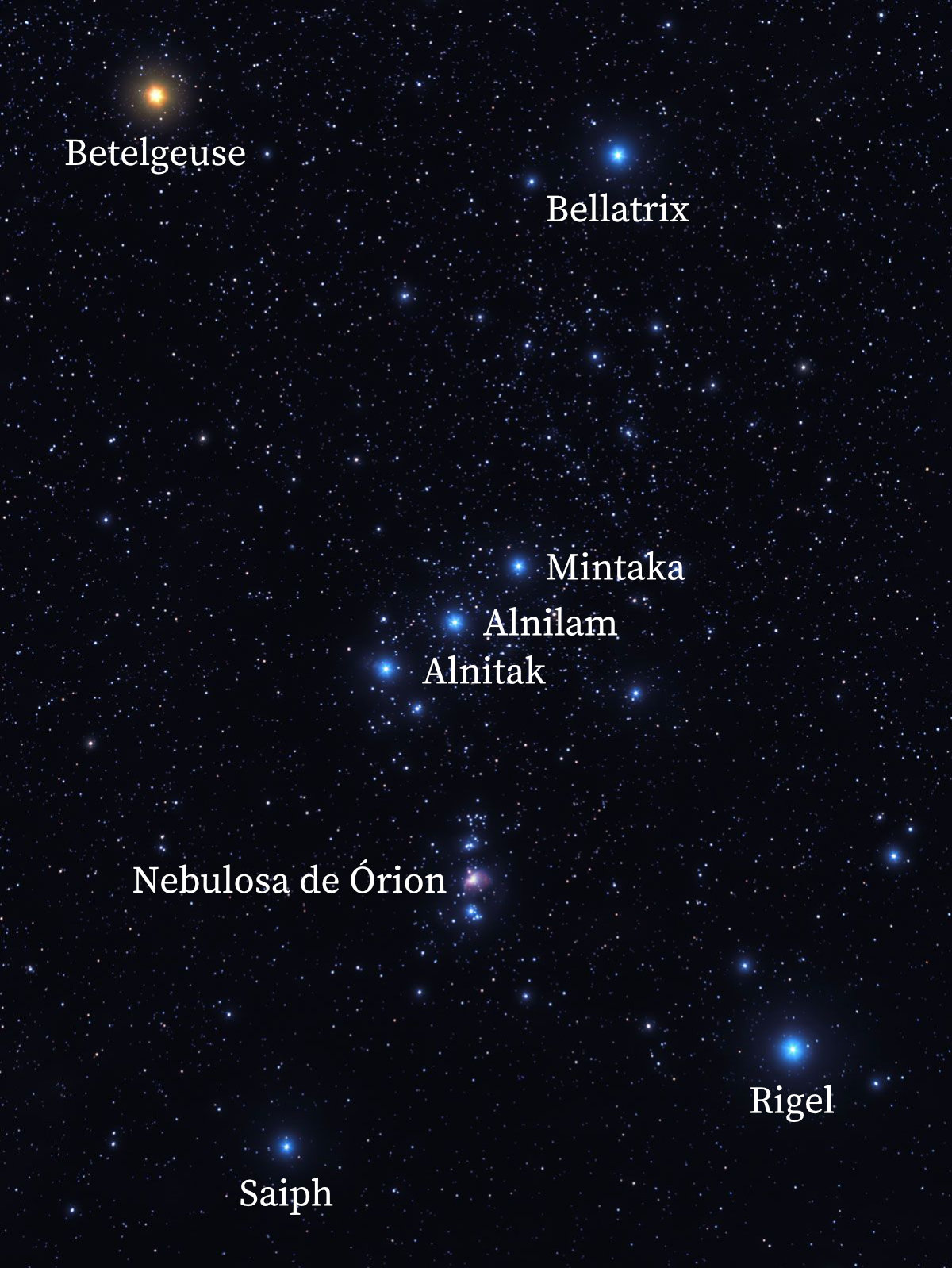 Estrelas da constelação de Órion